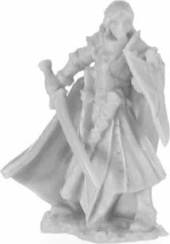 Alandin Elf Paladin - Image 2