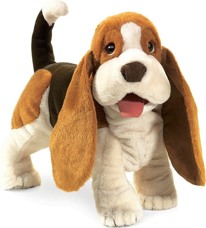 Basset Hound - Image 2