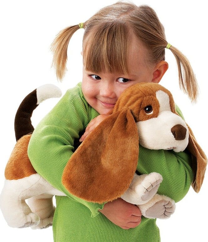 Basset Hound - Image 5