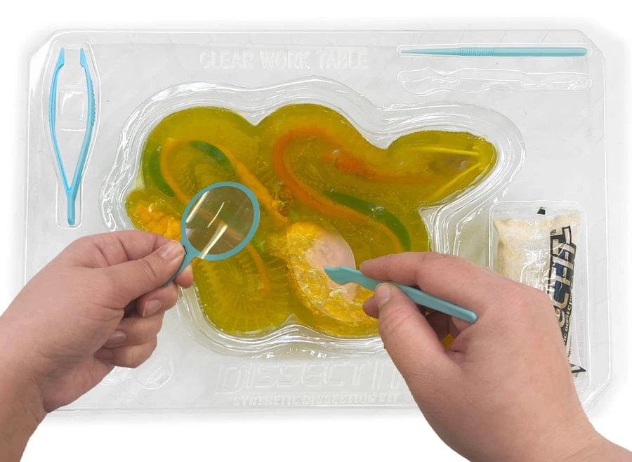 Dissect-It Rattlesnake Super Lab - Image 3