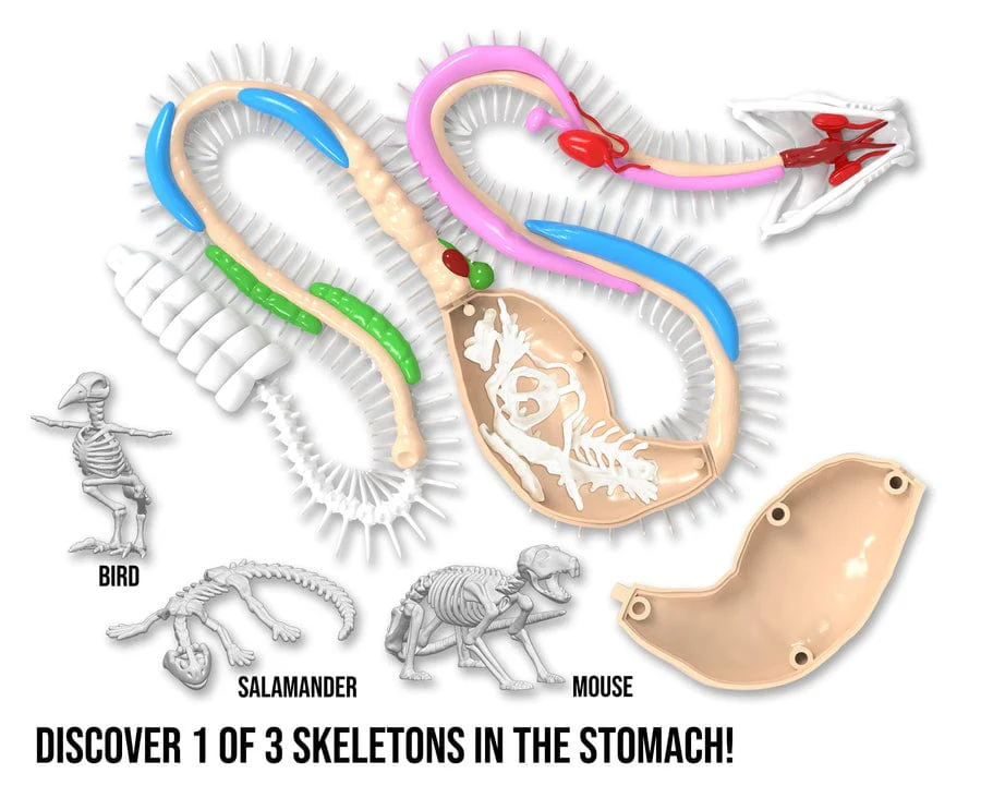 Dissect-It Rattlesnake Super Lab - Image 4