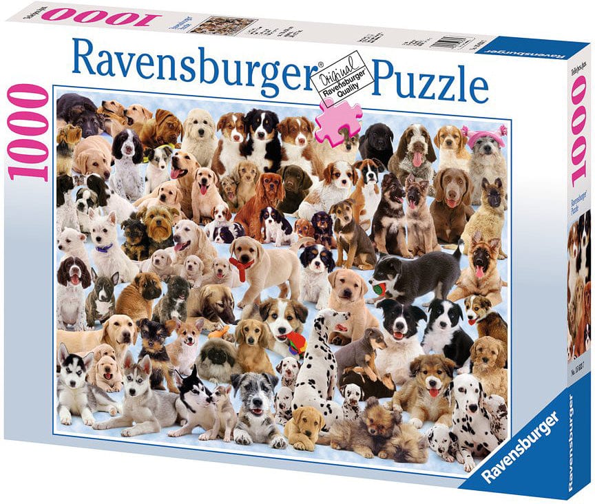 Dogs Galore! - Image 15