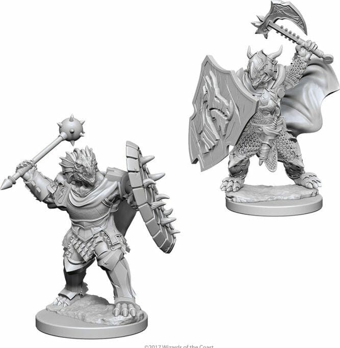 Dragonborn Male Paladin - Image 2