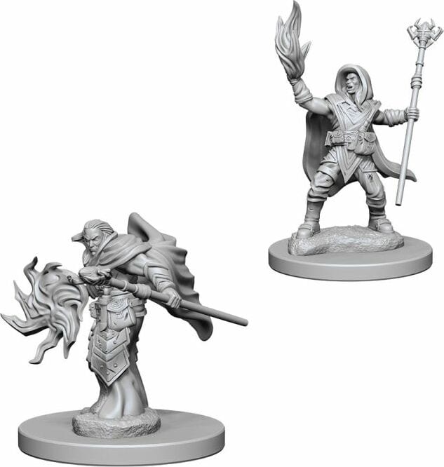 Elf Male Wizard - Image 2