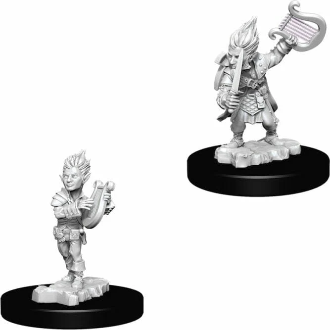 Male Gnome Bard - Image 2