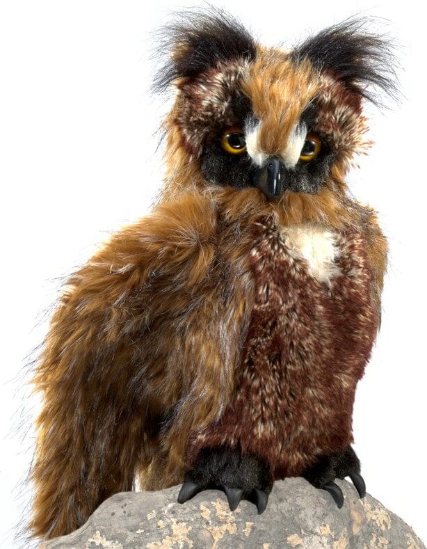 Great Horned Owl - Image 6