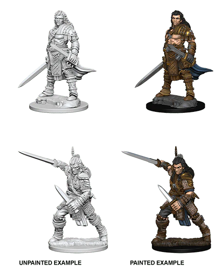 Male Human Fighter