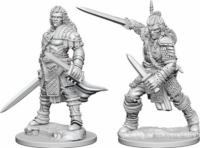 Male Human Fighter - Image 3