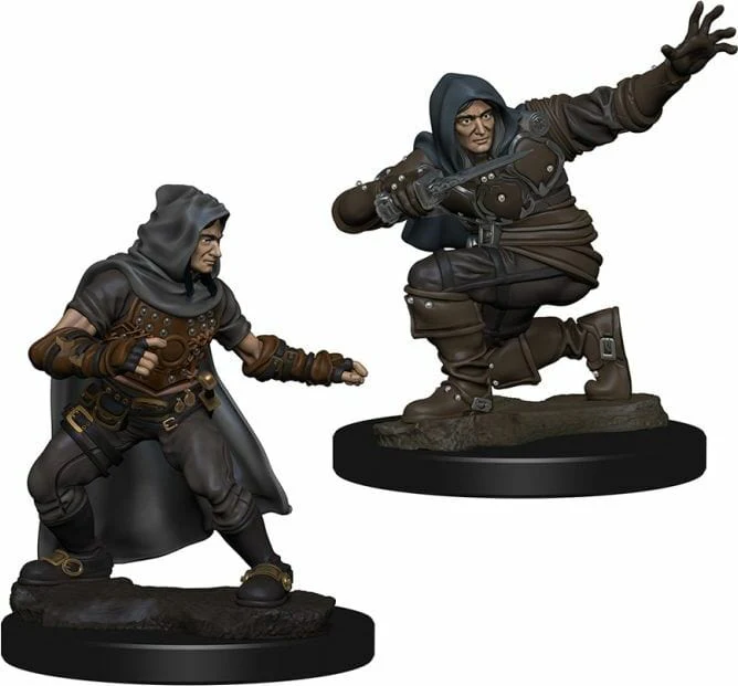 Male Human Rogue - Image 2