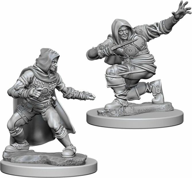Male Human Rogue - Image 3