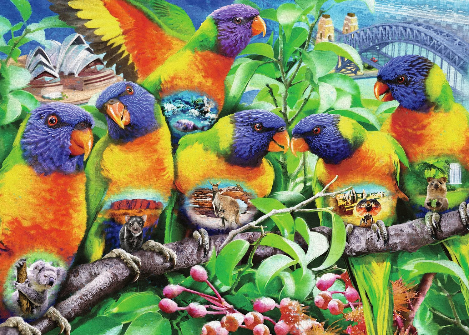 Land of the Lorikeet - Image 4