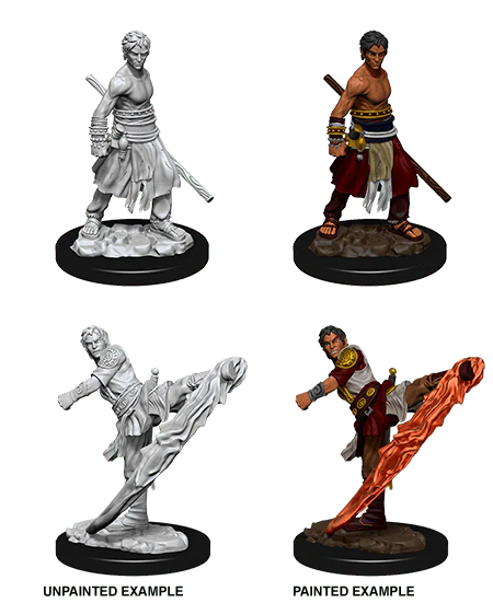 Male Half-Elf Monk