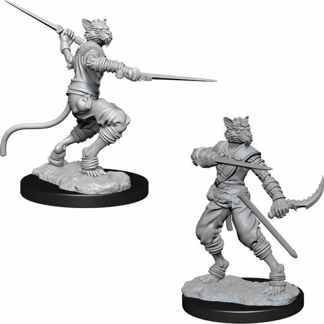 Male Tabaxi Rogue - Image 2
