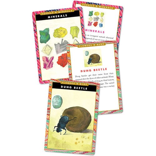 Earth Science Flash Cards - Image 15