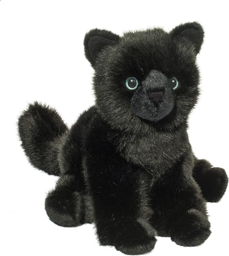Salem Black Cat - Image 10