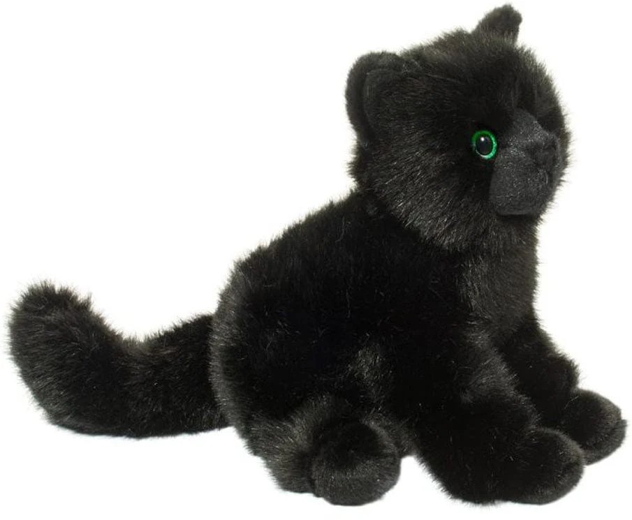 Salem Black Cat - Image 12