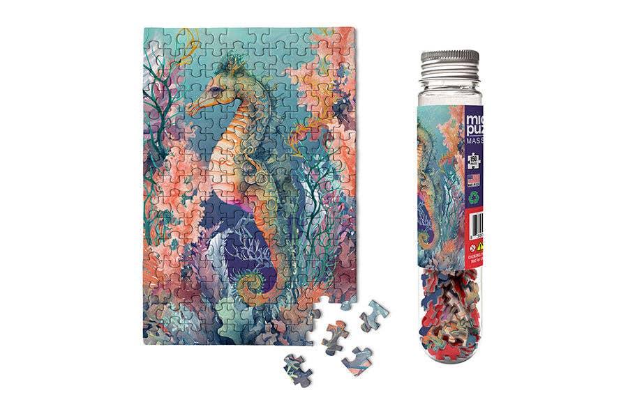 Seahorse - Marine Life for Outdoor Adventure Scuba