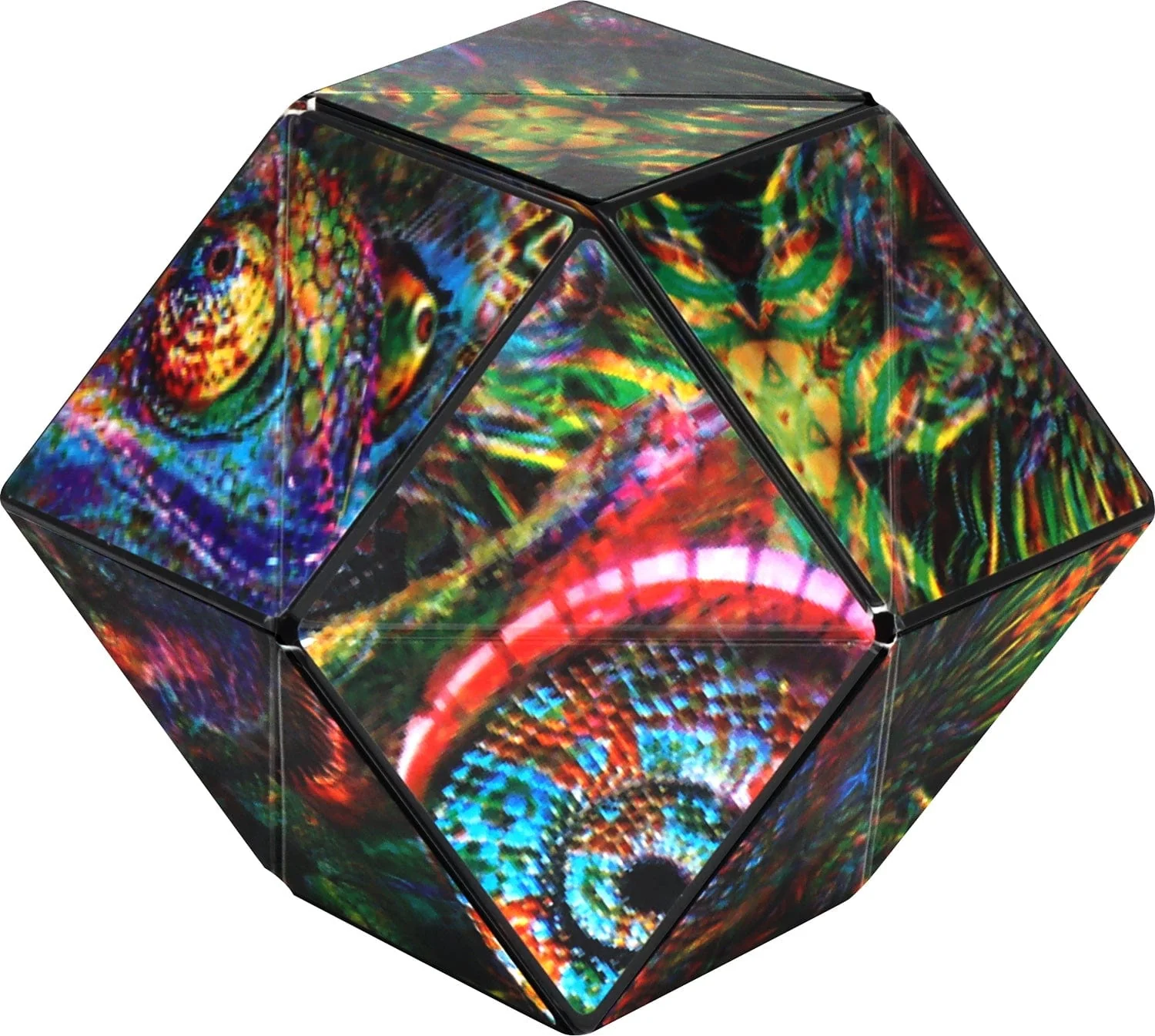 Shashibo Artist Series - The Chameleon - Image 6