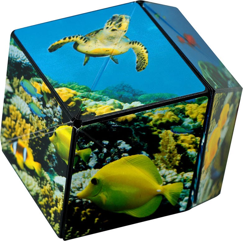 Shashibo Undersea - Image 7