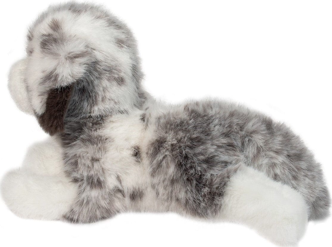 Skylar Australian Shepherd - Image 4