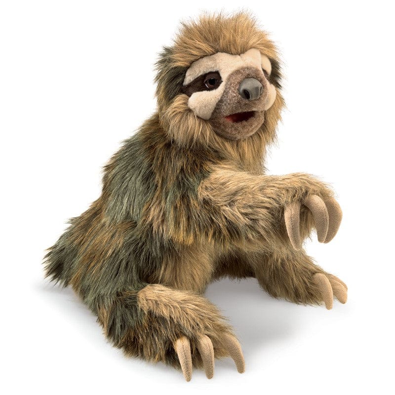 Sloth, Three-Toed - Image 3