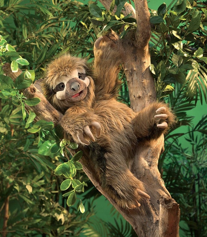 Sloth, Three-Toed - Image 5