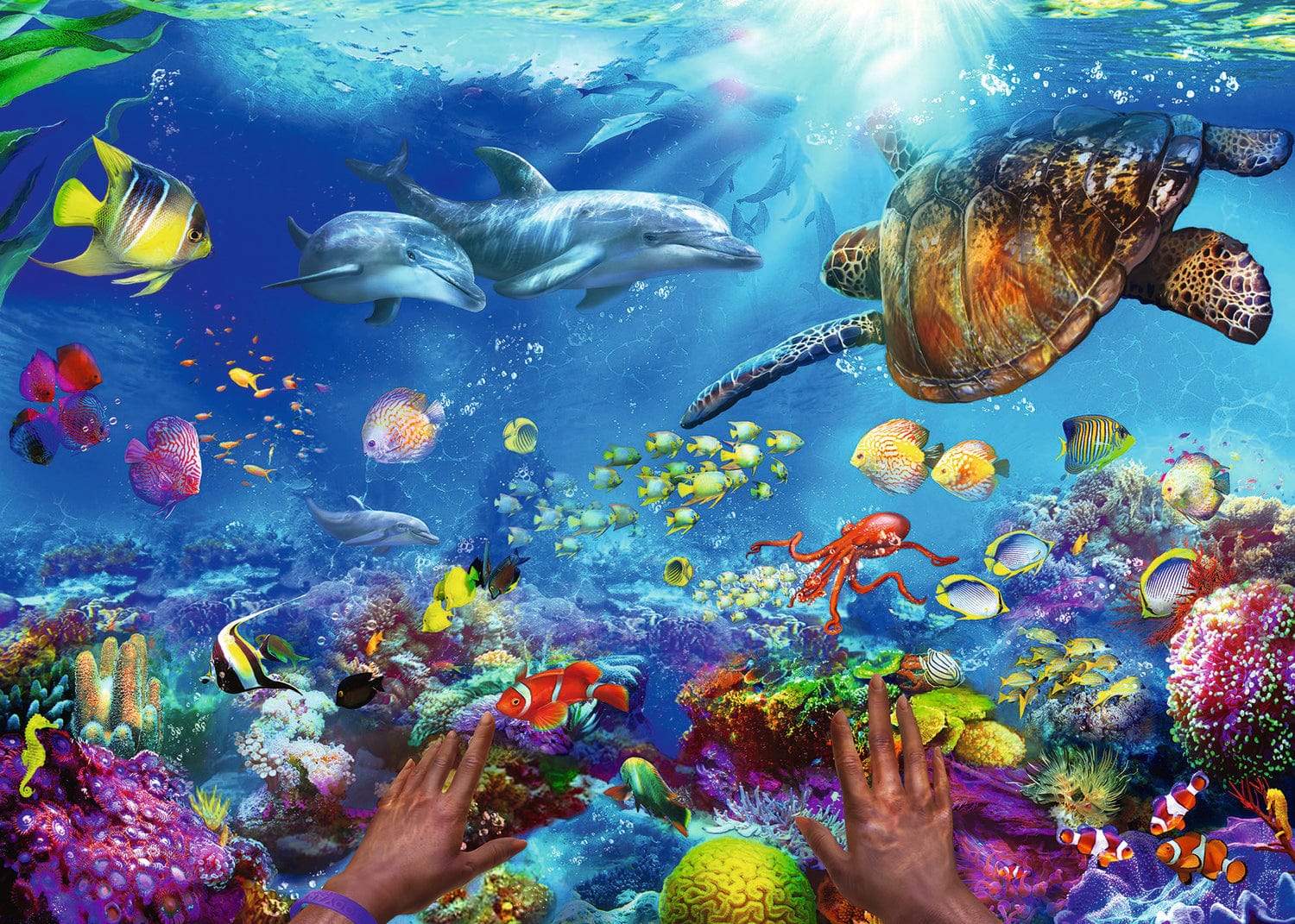 Snorkeling - Image 10