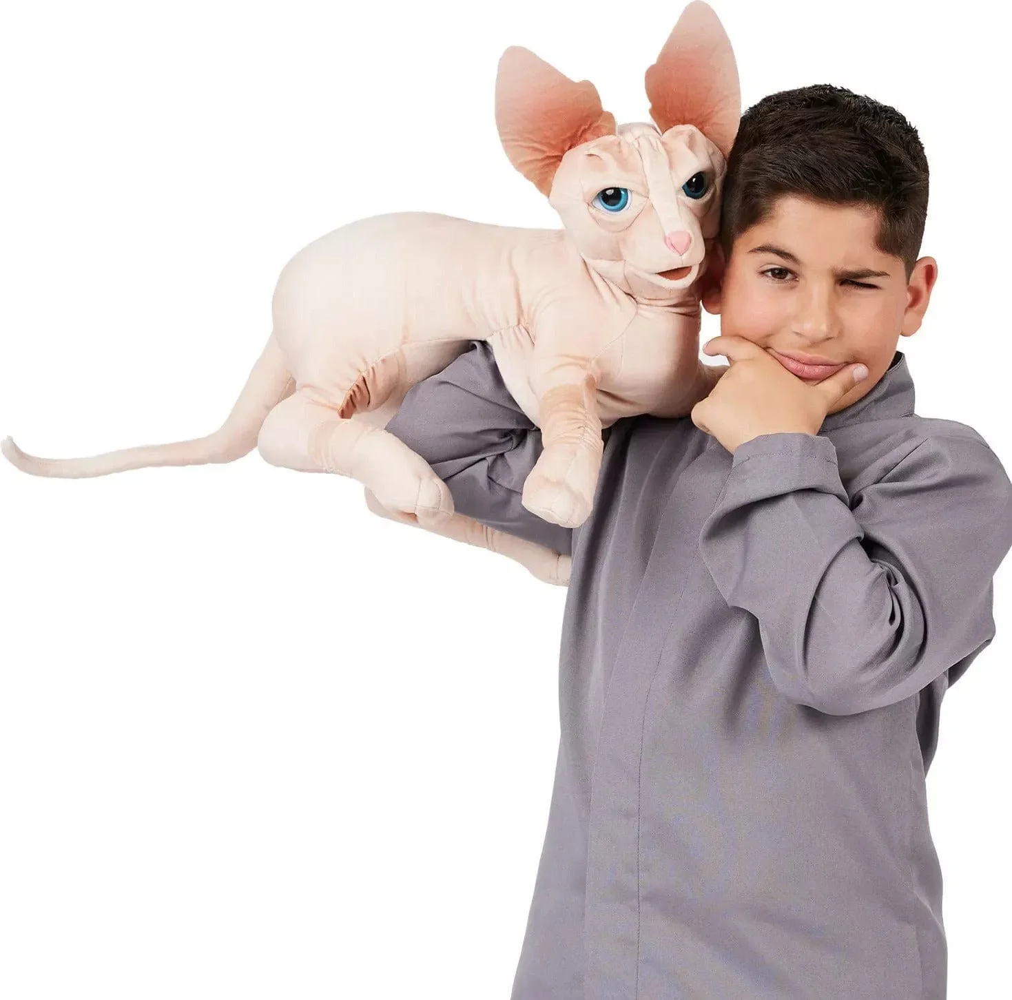 Sphynx Cat - Image 5