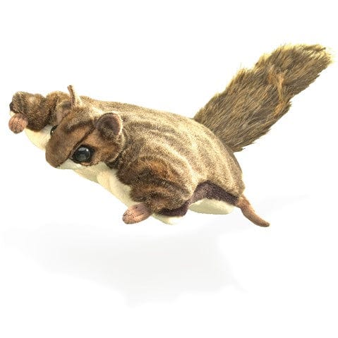 Squirrel, Flying - Image 4