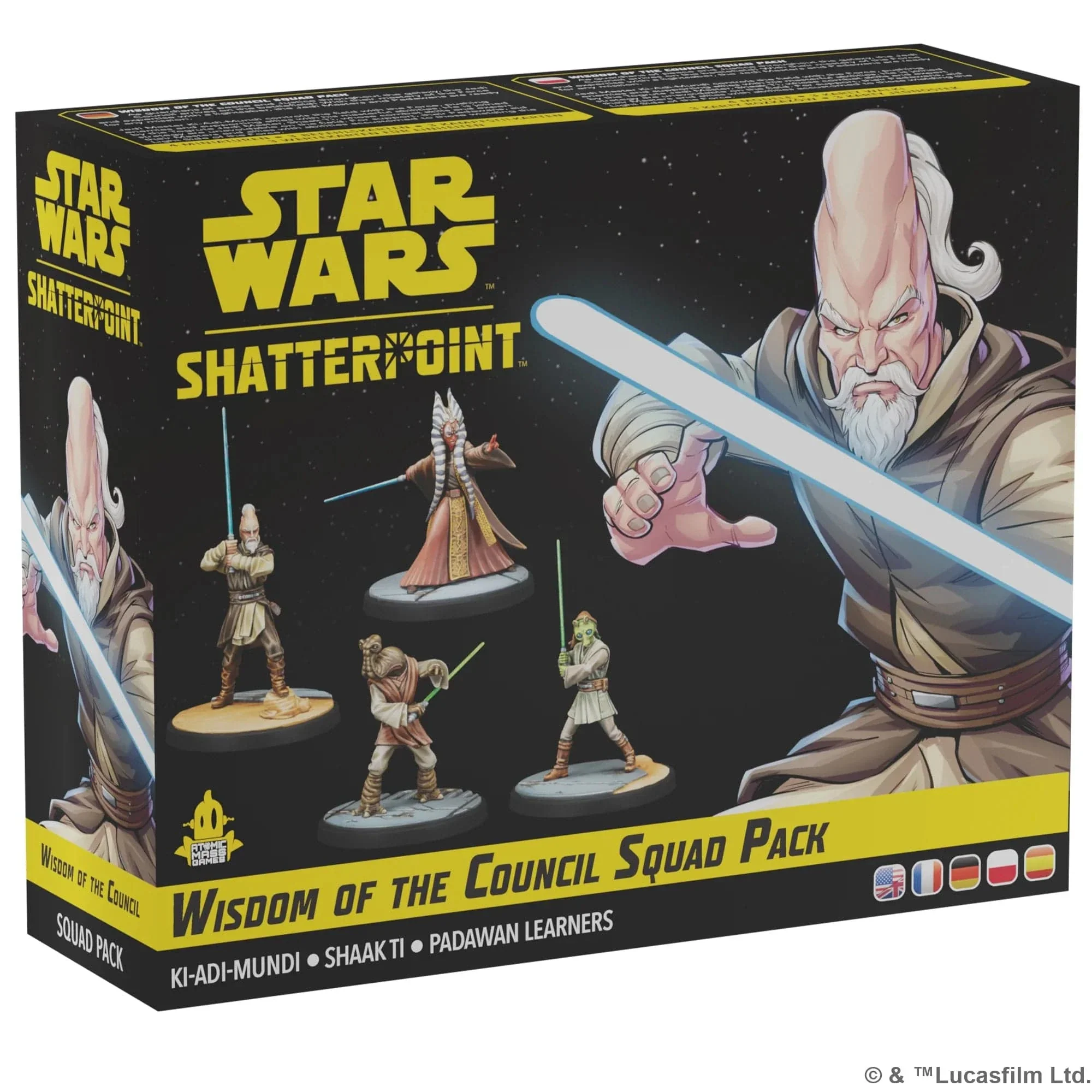 Star Wars: Shatterpoint - Wsdom of the Council