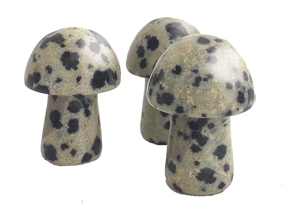 Stat Trackers: 5E ‘Shrooms - Image 3