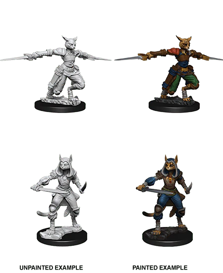 Female Tabaxi Rogue