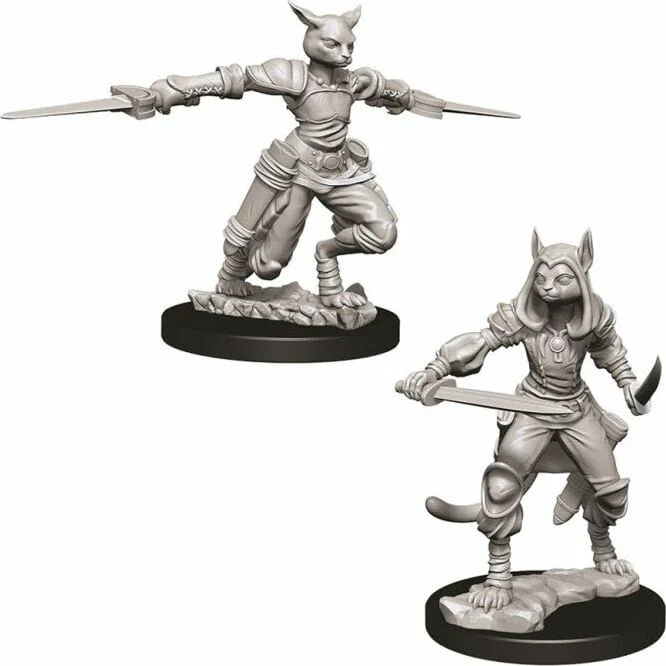 Female Tabaxi Rogue - Image 2