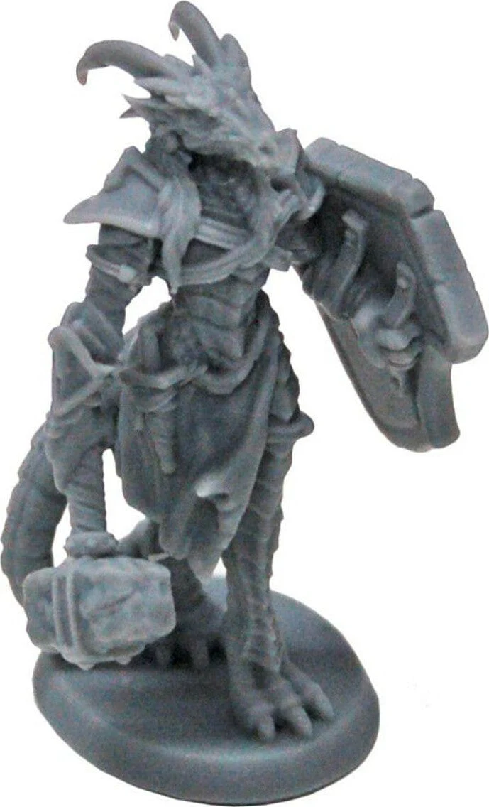 Tarmiczi, Female Dragonblood Paladin - Image 3