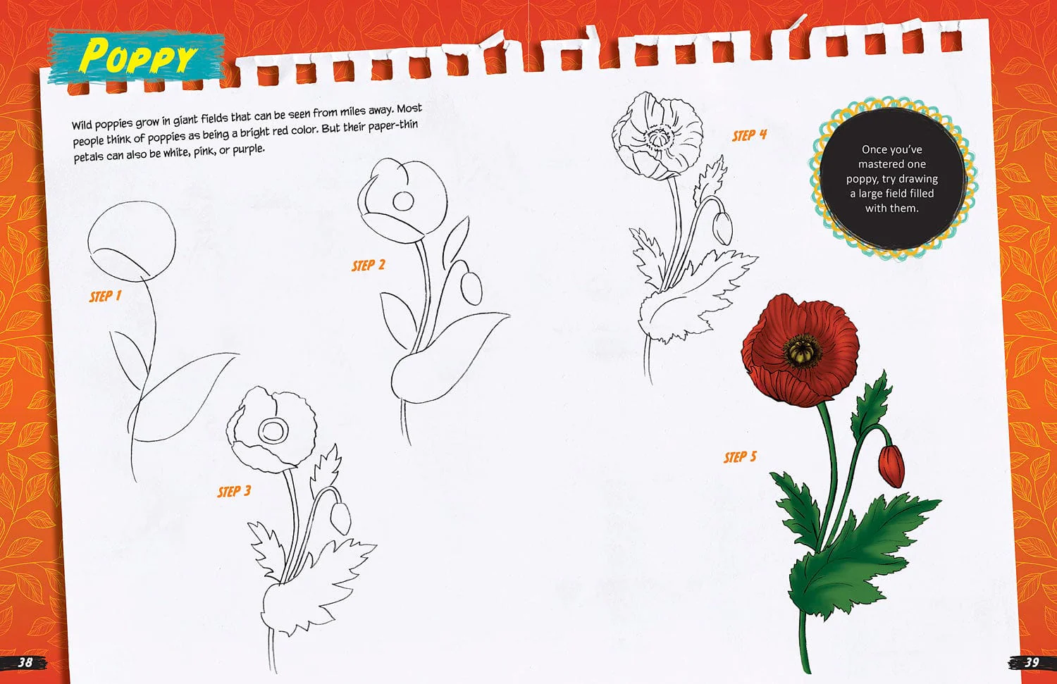 The Girls' Guide to Drawing: Revised and Updated Edition - Image 4