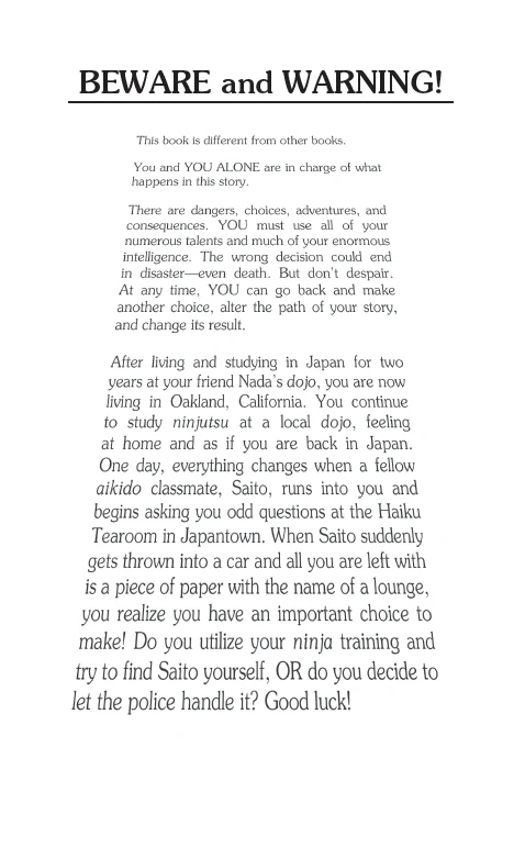 The Lost Ninja, Children's Book - Image 2