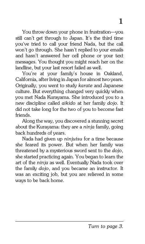 The Lost Ninja, Children's Book - Image 4