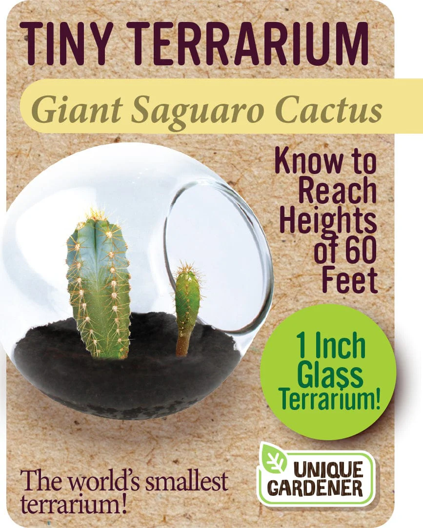 Giant Saguaro - Image 4
