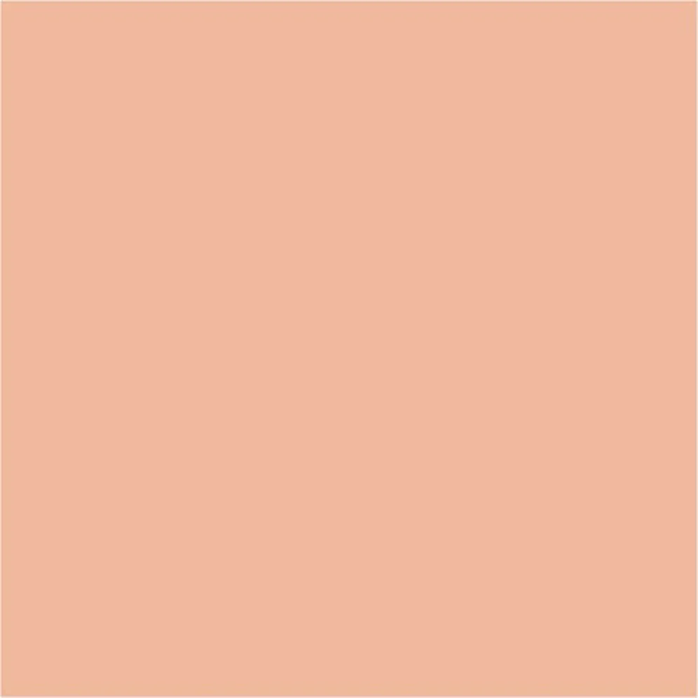 Basic Skin Tone 17mL - Image 3