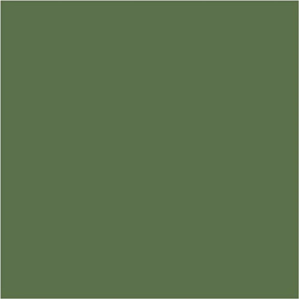 German Camouflage Bright Green 17mL - Image 3