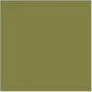 Golden Olive 17mL - Image 5
