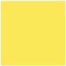 Light Yellow 17mL - Image 5