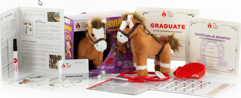 Veterinarian Horse Activity Set - Image 4